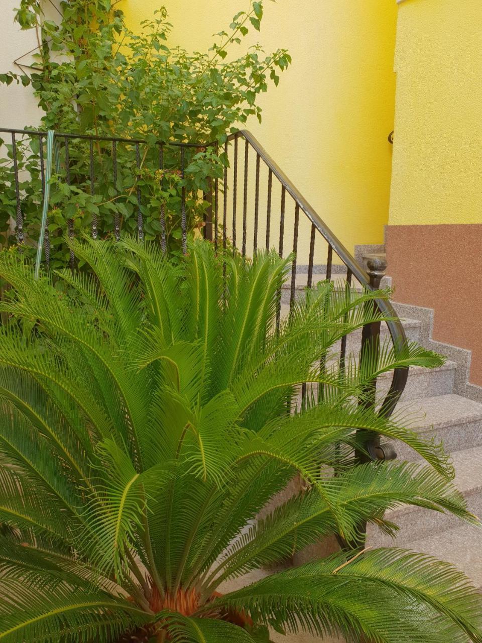 Apartments Cytrus Неум Екстериор снимка